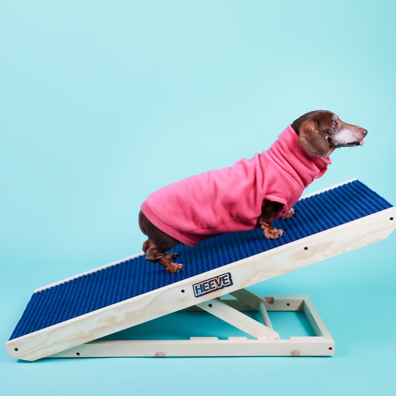 Dog & Pet Ramps